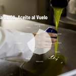 OLIOA 2025/26: la nueva cosecha que enamora los sentidos